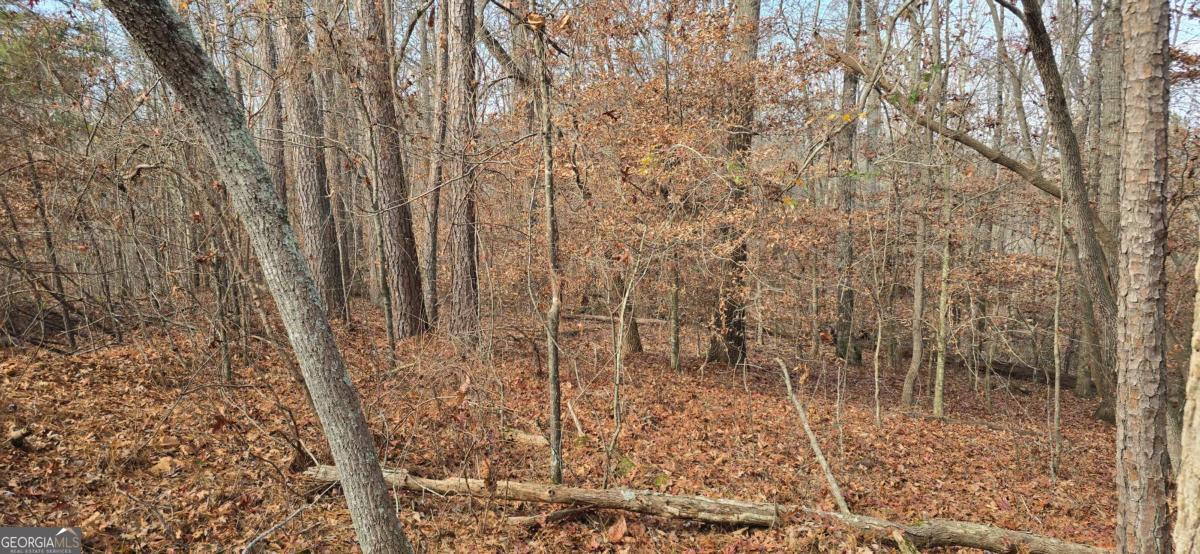 00001 Matt Highway Property Photo 7