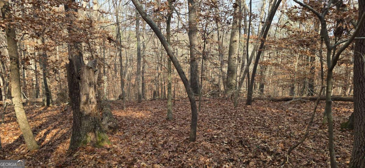 00001 Matt Highway Property Photo 10
