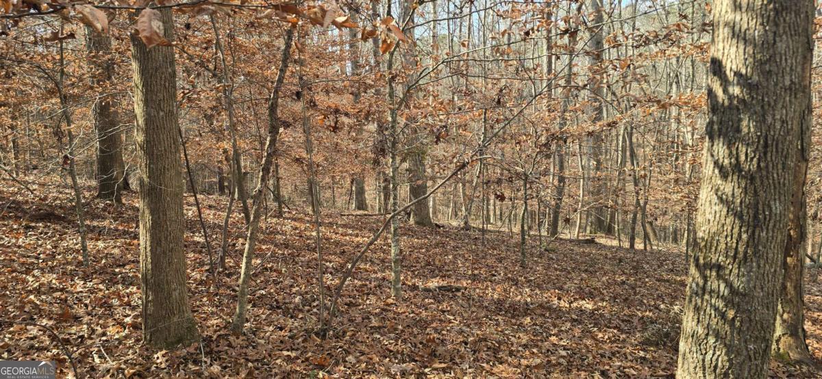 00001 Matt Highway Property Photo 13