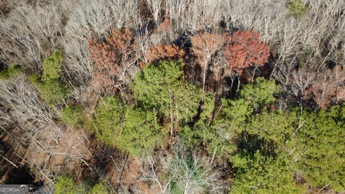 00001 Matt Highway Property Photo 26