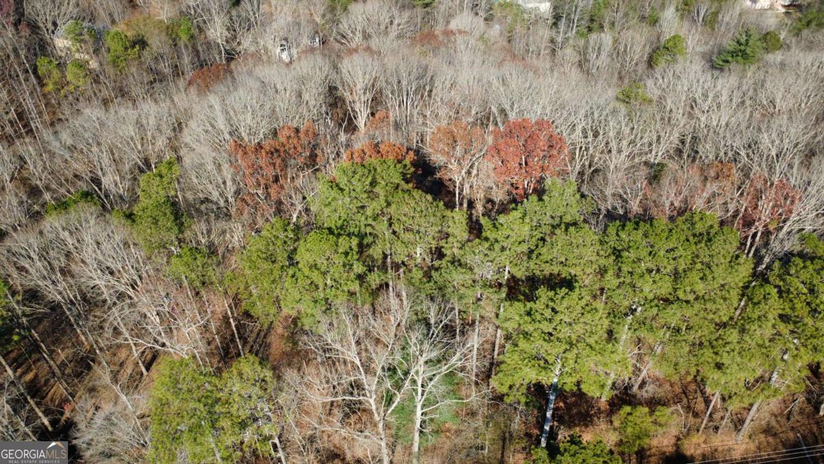 00001 Matt Highway Property Photo 28