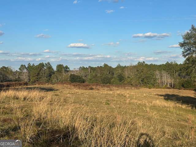8893 Sunbury Road Property Photo 4