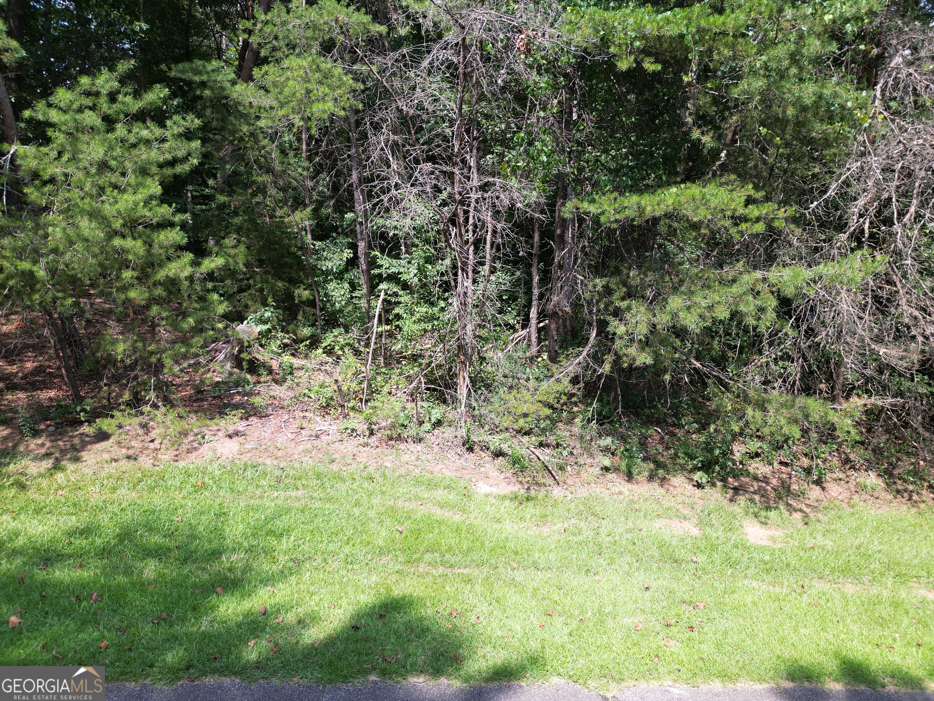 LOT 21 Deer Chase Road