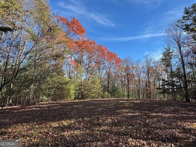 0 John Call Road Property Photo 1