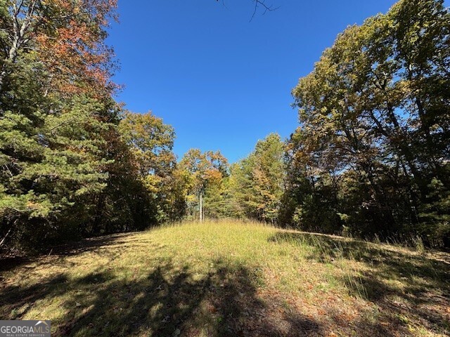 0 John Call Road Property Photo 12