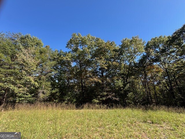 0 John Call Road Property Photo 14