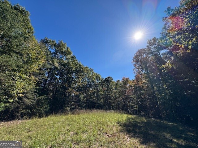 0 John Call Road Property Photo 16