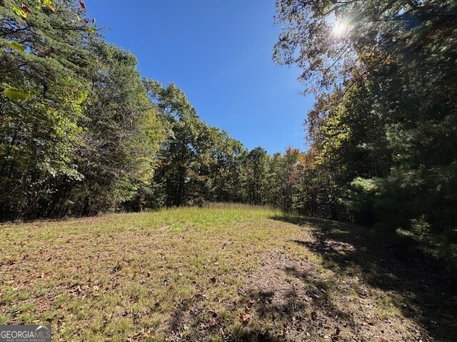 0 John Call Road Property Photo 18
