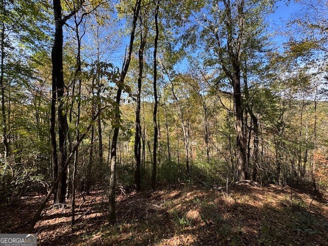 0 John Call Road Property Photo 21