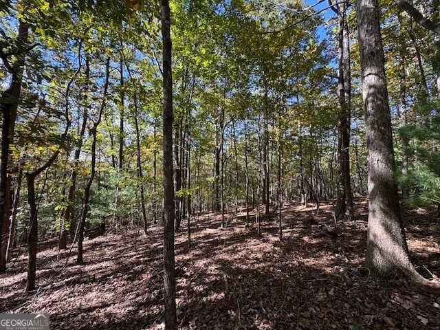 0 John Call Road Property Photo 22