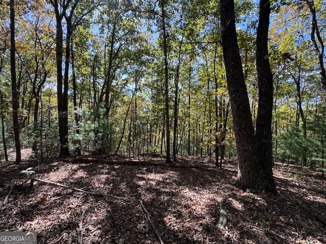 0 John Call Road Property Photo 23