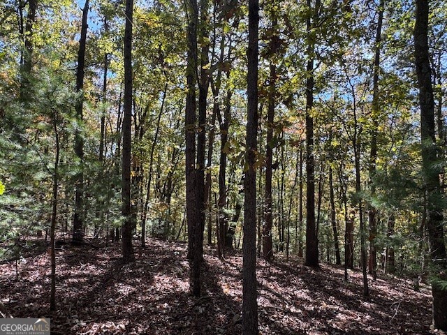 0 John Call Road Property Photo 24