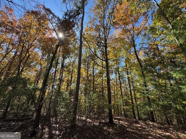 0 John Call Road Property Photo 26