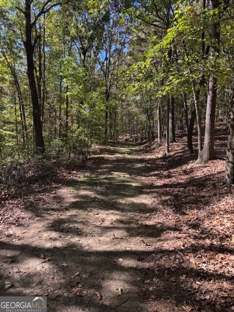 0 John Call Road Property Photo 29