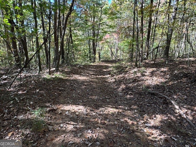 0 John Call Road Property Photo 30