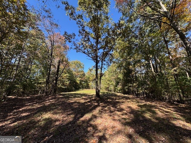0 John Call Road Property Photo 31