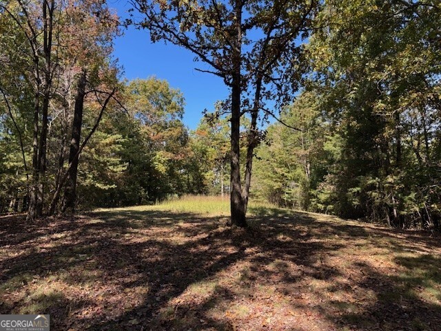 0 John Call Road Property Photo 32