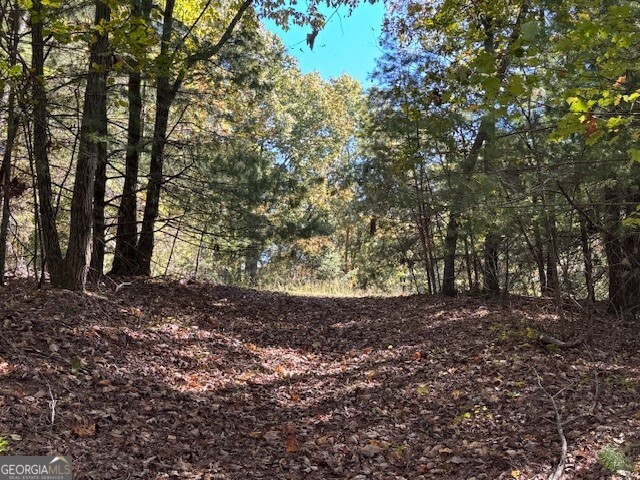 0 John Call Road Property Photo 33