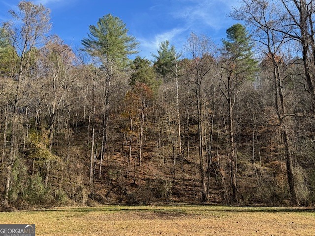 0 John Call Road Property Photo 39