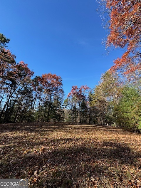 0 John Call Road Property Photo 44