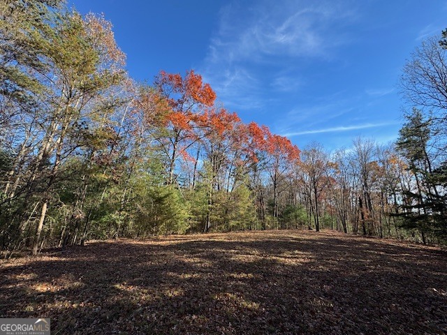 0 John Call Road Property Photo 47
