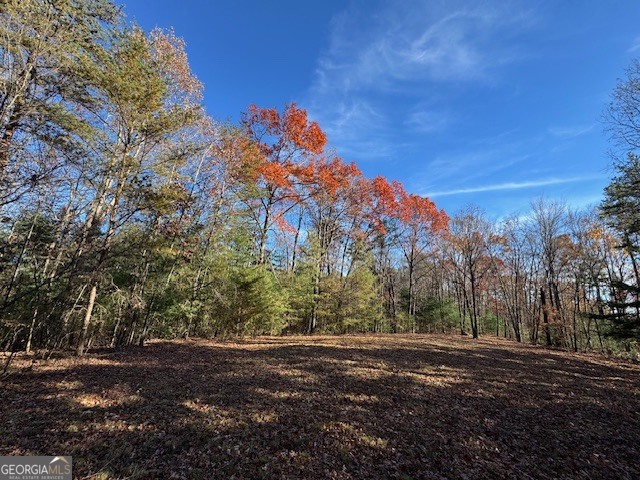 0 John Call Road Property Photo 48