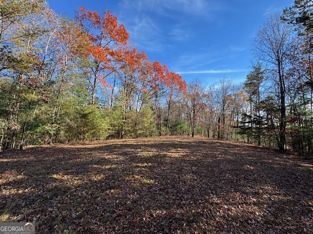 0 John Call Road Property Photo 49