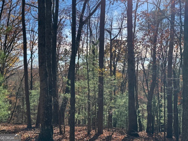 0 John Call Road Property Photo 56