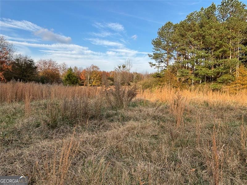 222 Norman Road Property Photo 16