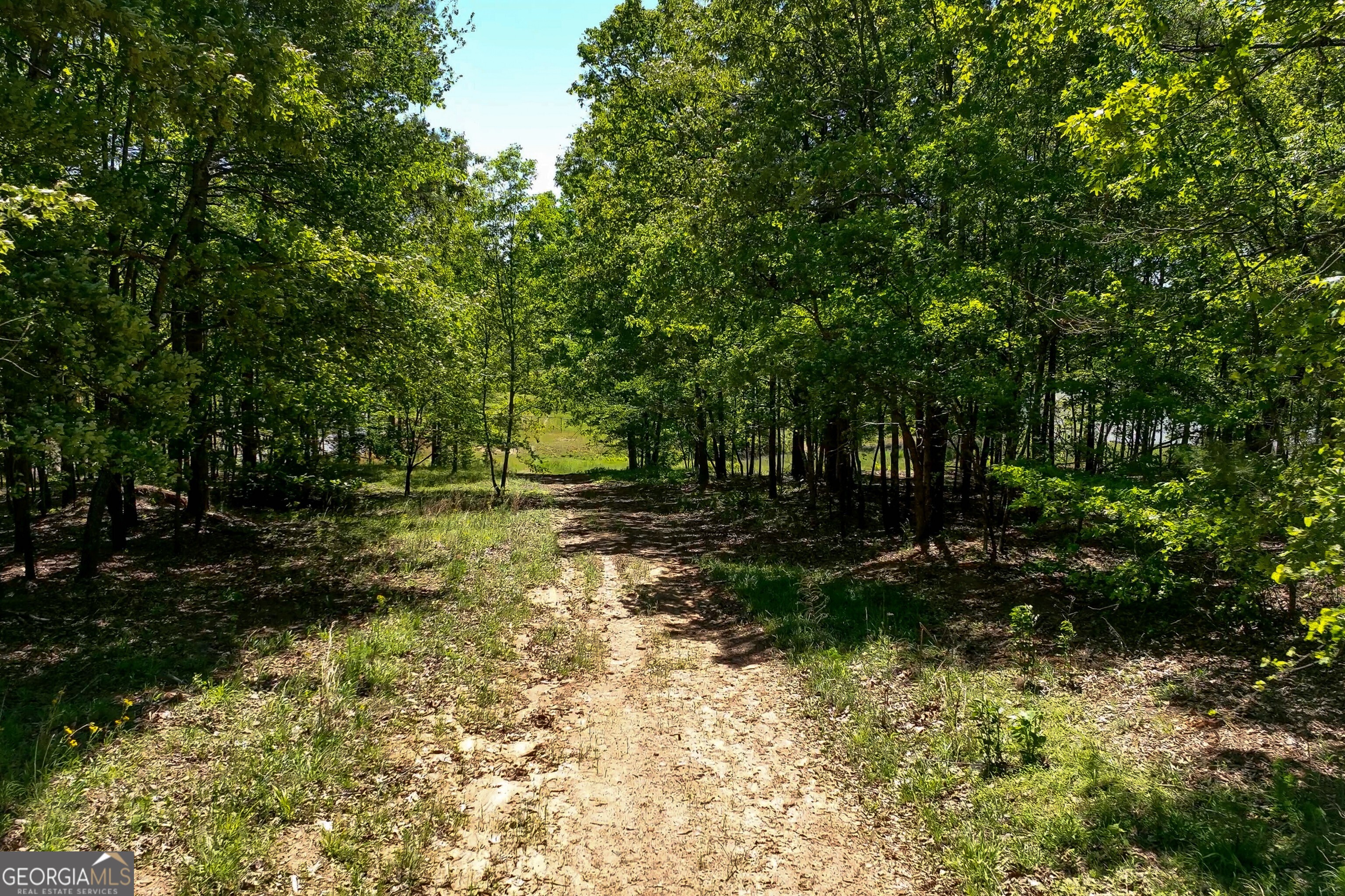 321 Bear Way Property Photo 61