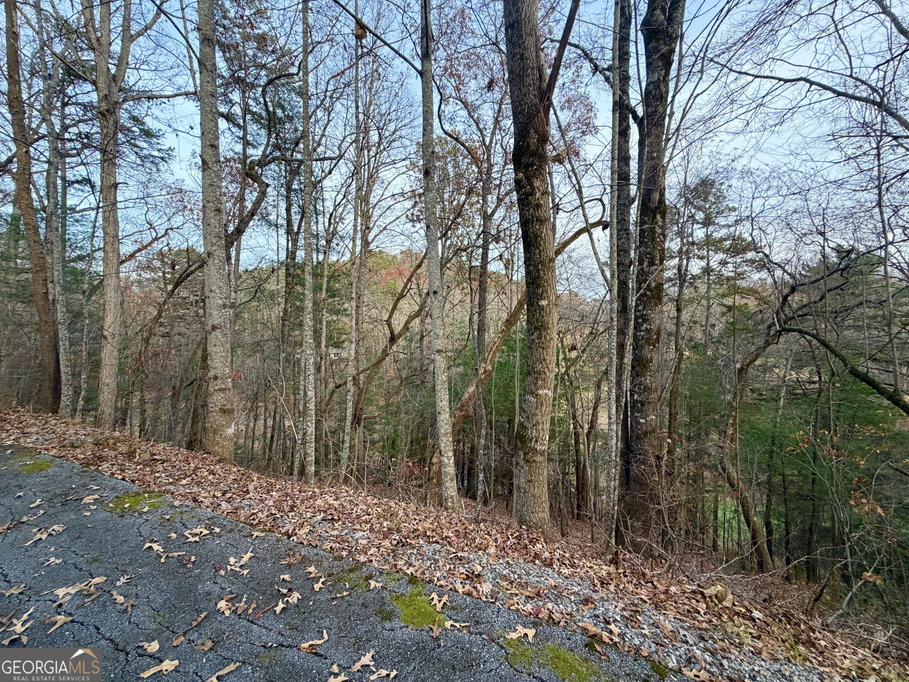 104 Kingwood Court Lane Property Photo 2