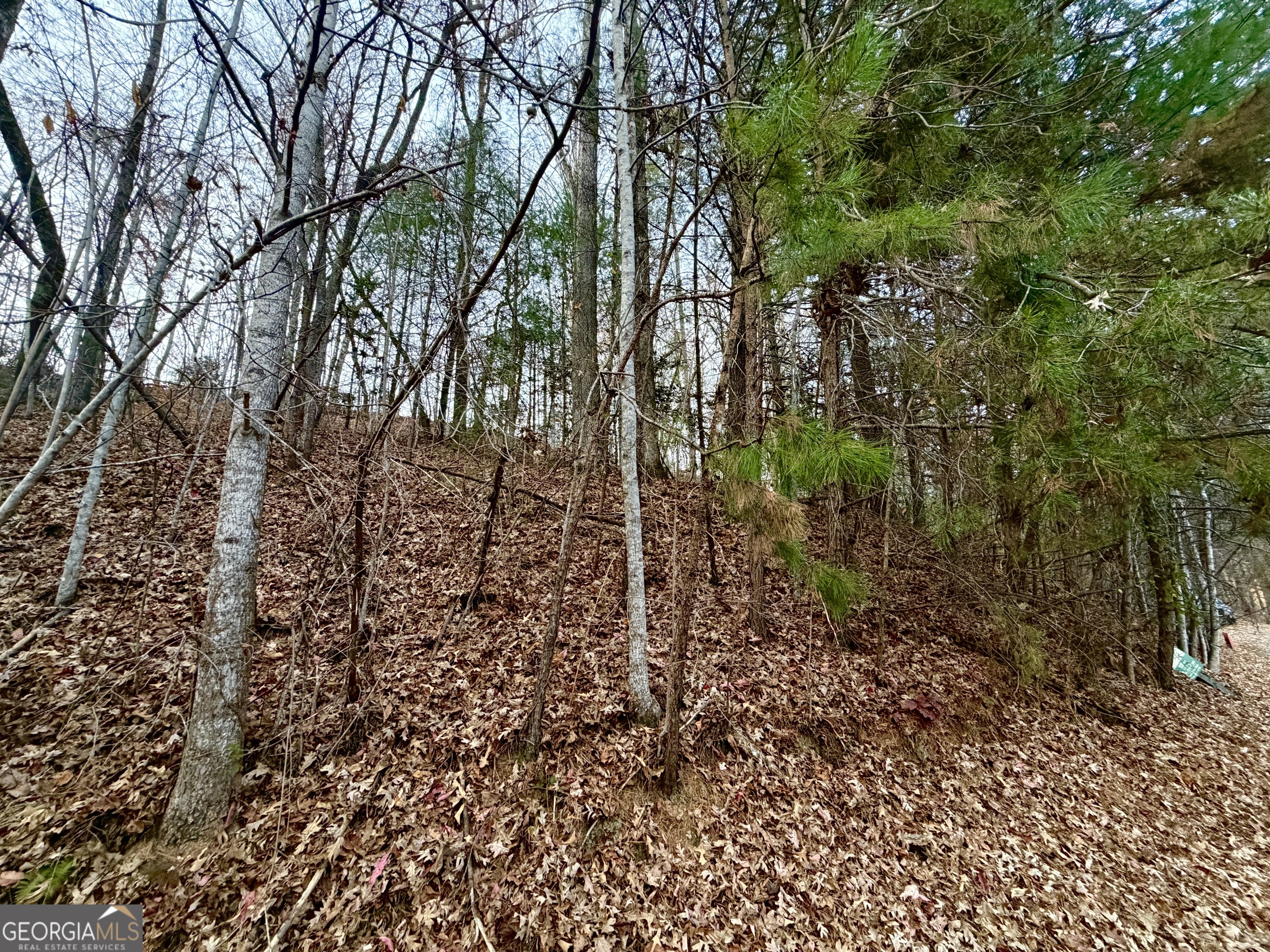 104 Kingwood Court Lane Property Photo 4