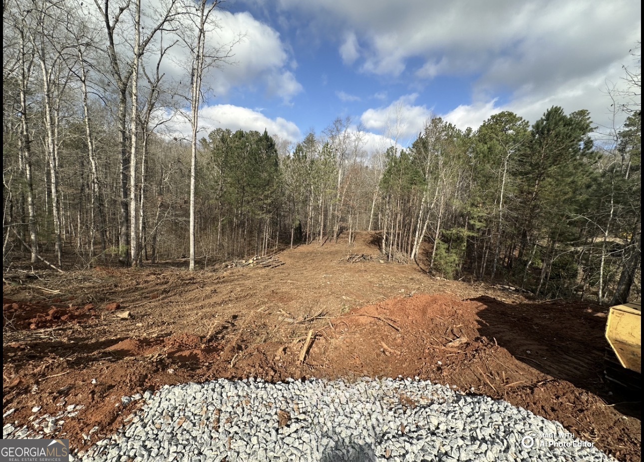 1698 Shoal Creek Way Property Photo 20