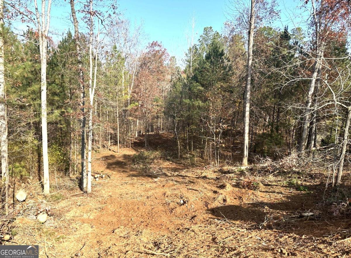 1698 Shoal Creek Way Property Photo 23