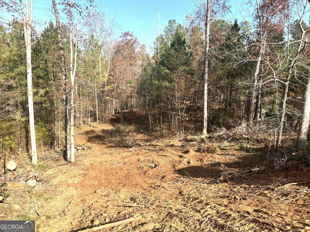 1698 Shoal Creek Way Property Photo 24