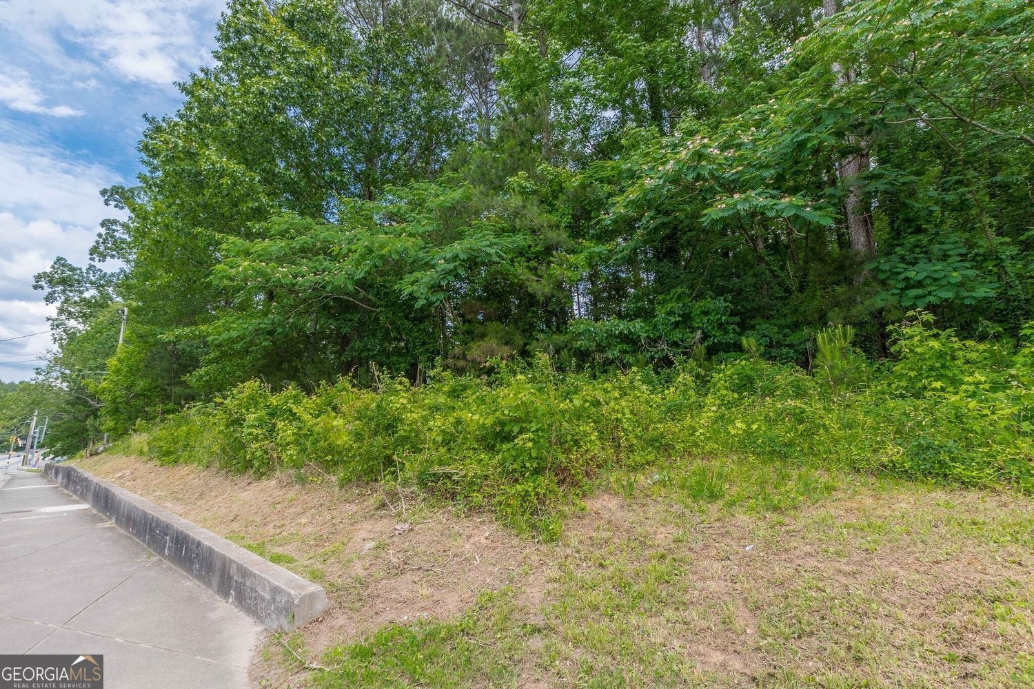 0 Campbellton Road Sw Property Photo 4