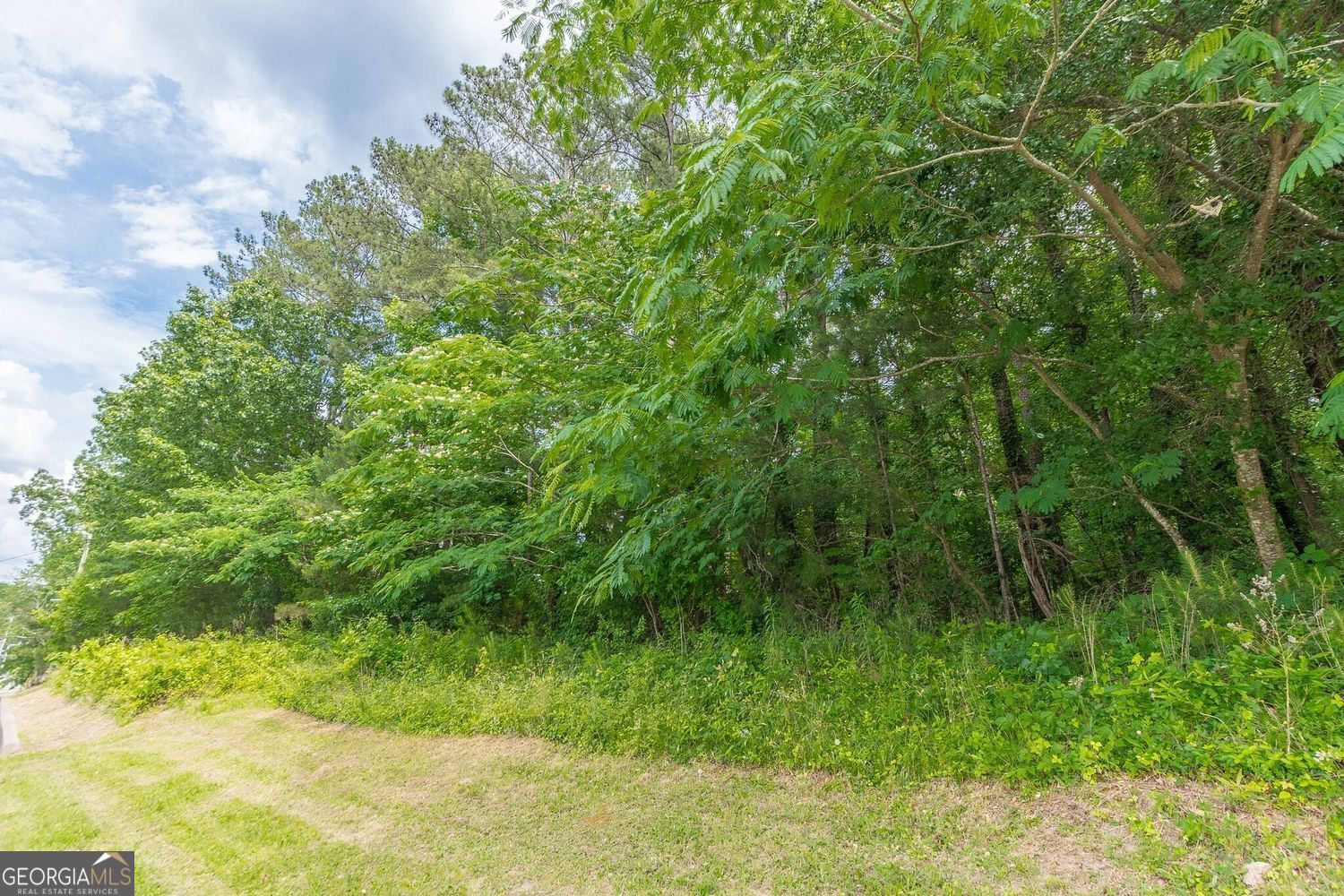 0 Campbellton Road Sw Property Photo 6