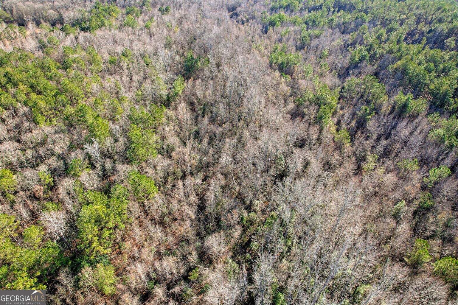 0 Wrens Highway Property Photo 14