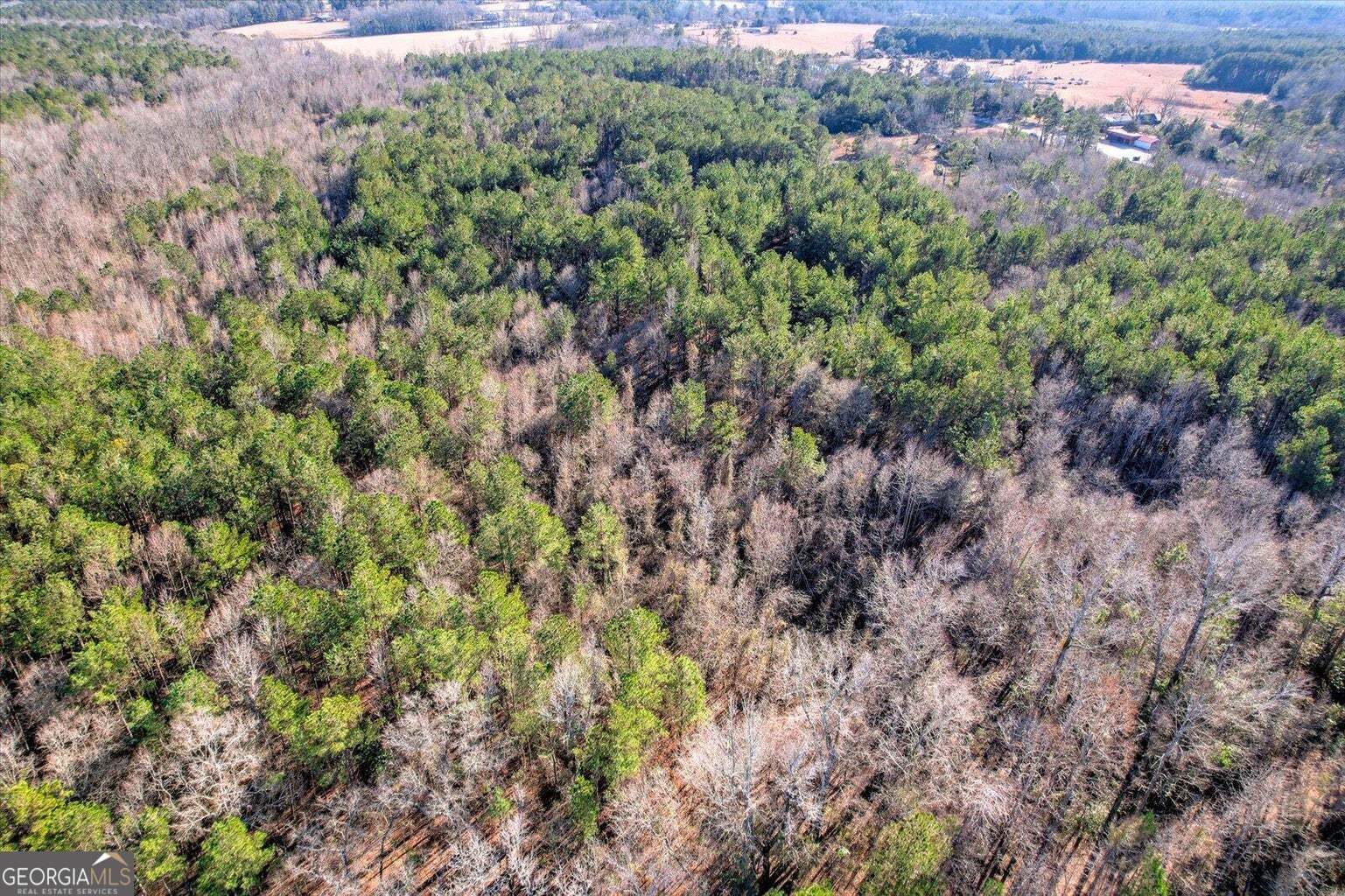 0 Wrens Highway Property Photo 16