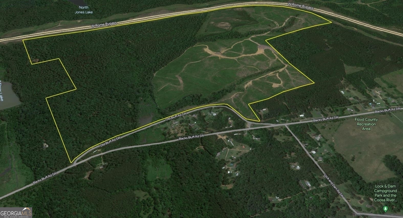0 Old Blacks Bluff Road Property Photo 1