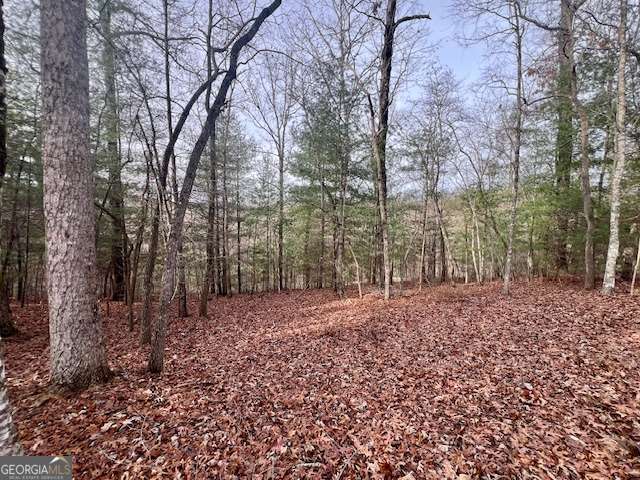 149 Hickory Way Property Photo 4