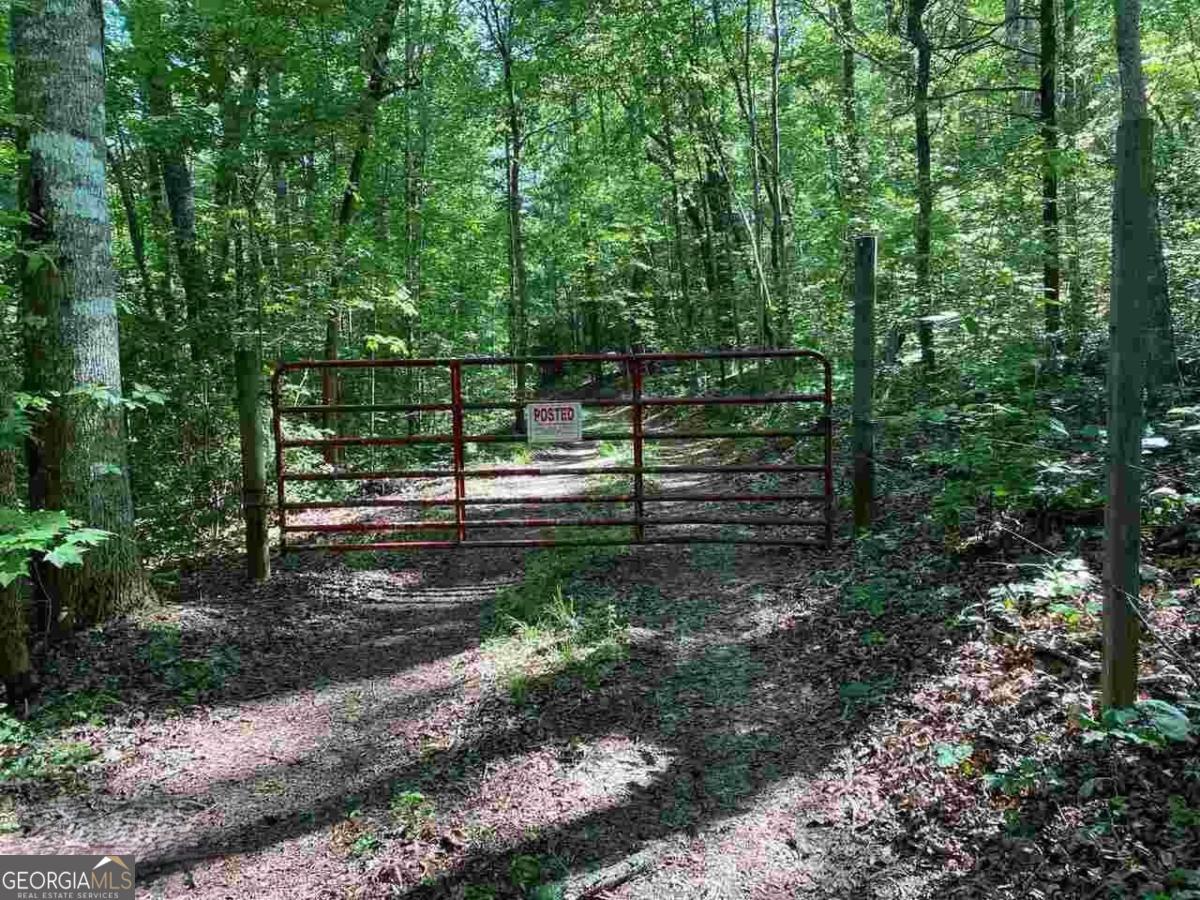 0 Oak Forest Drive Property Photo 9