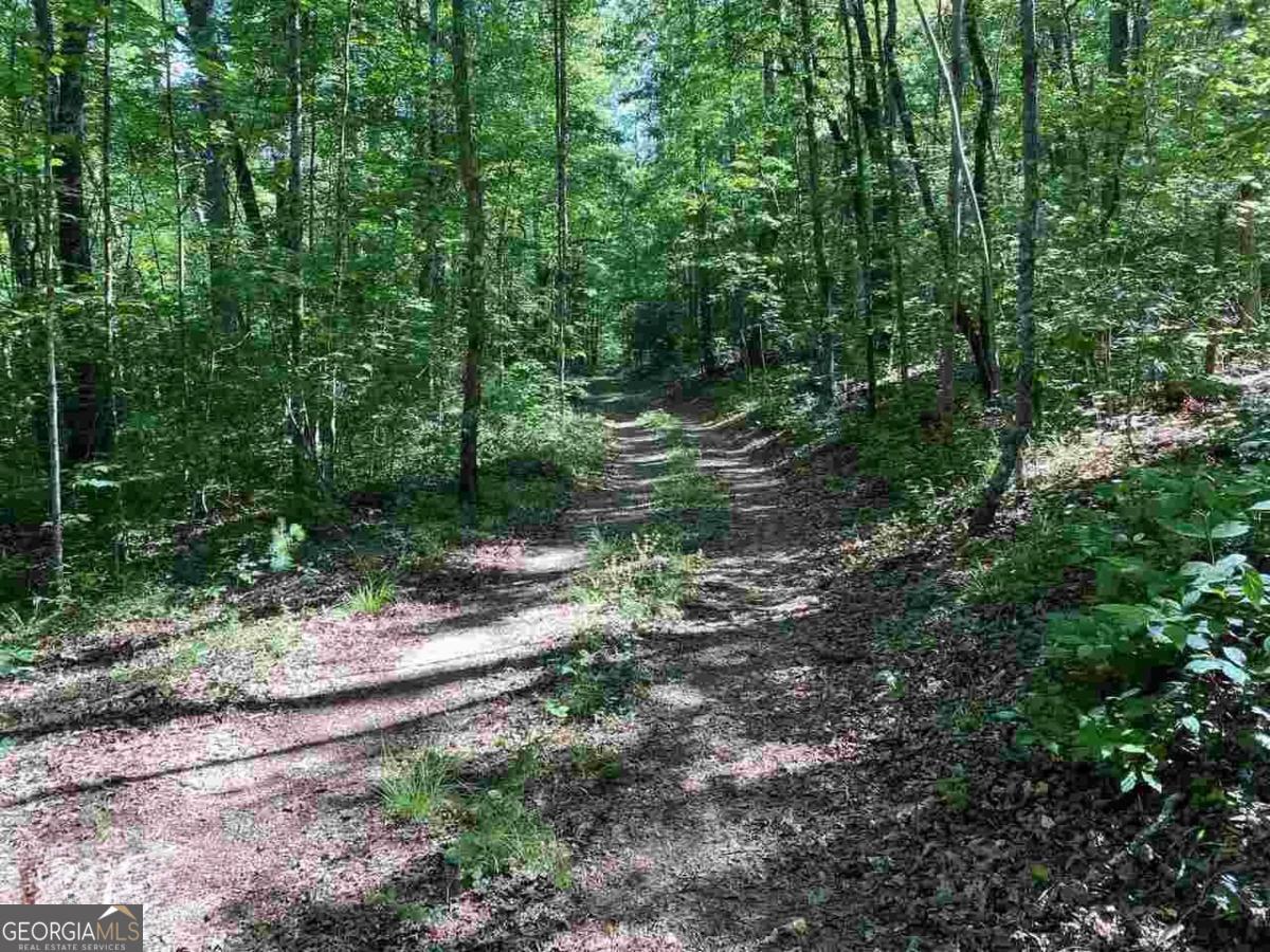 0 Oak Forest Drive Property Photo 10