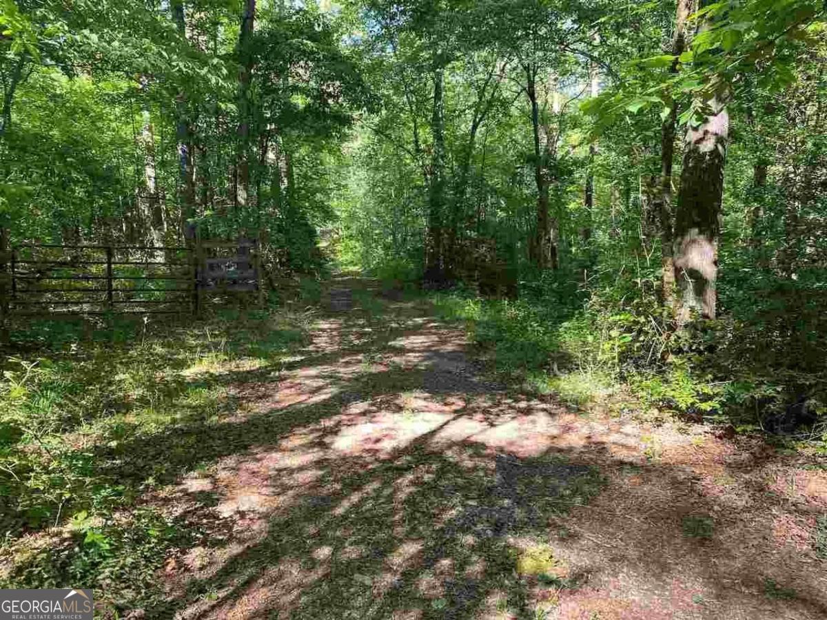 0 Oak Forest Drive Property Photo 11