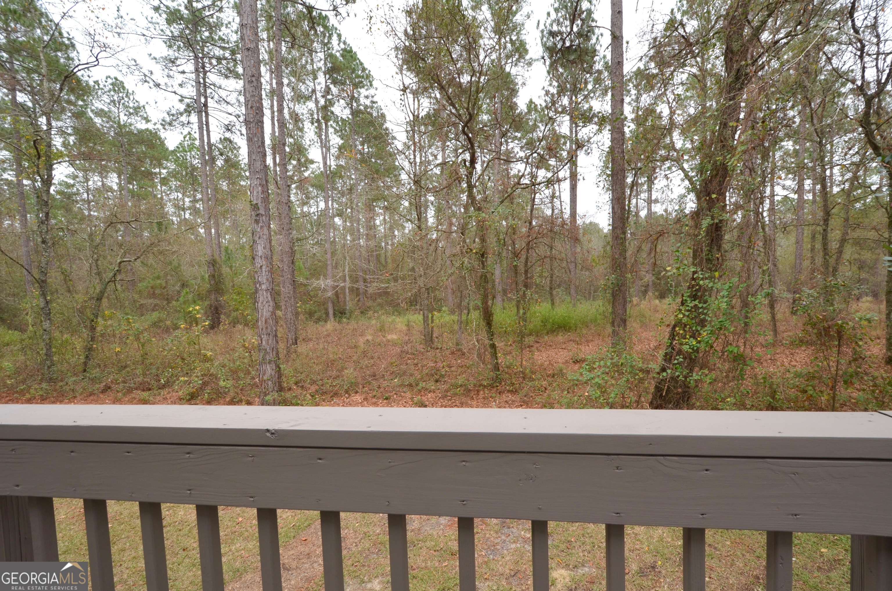 438 Highland Lakes Drive Property Photo 11