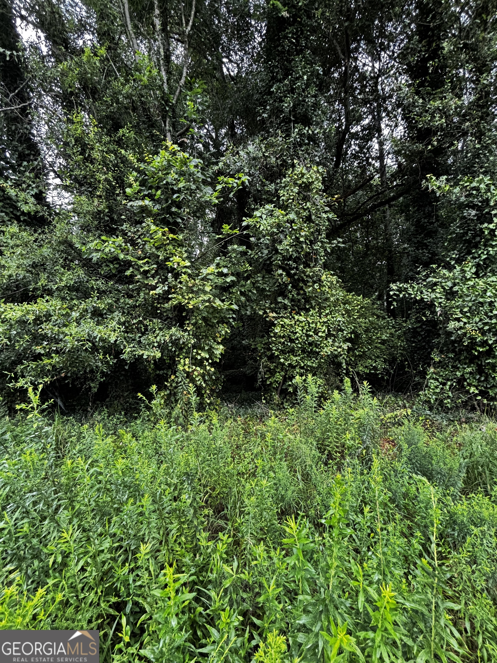 8224 Freestone Drive Property Photo 4