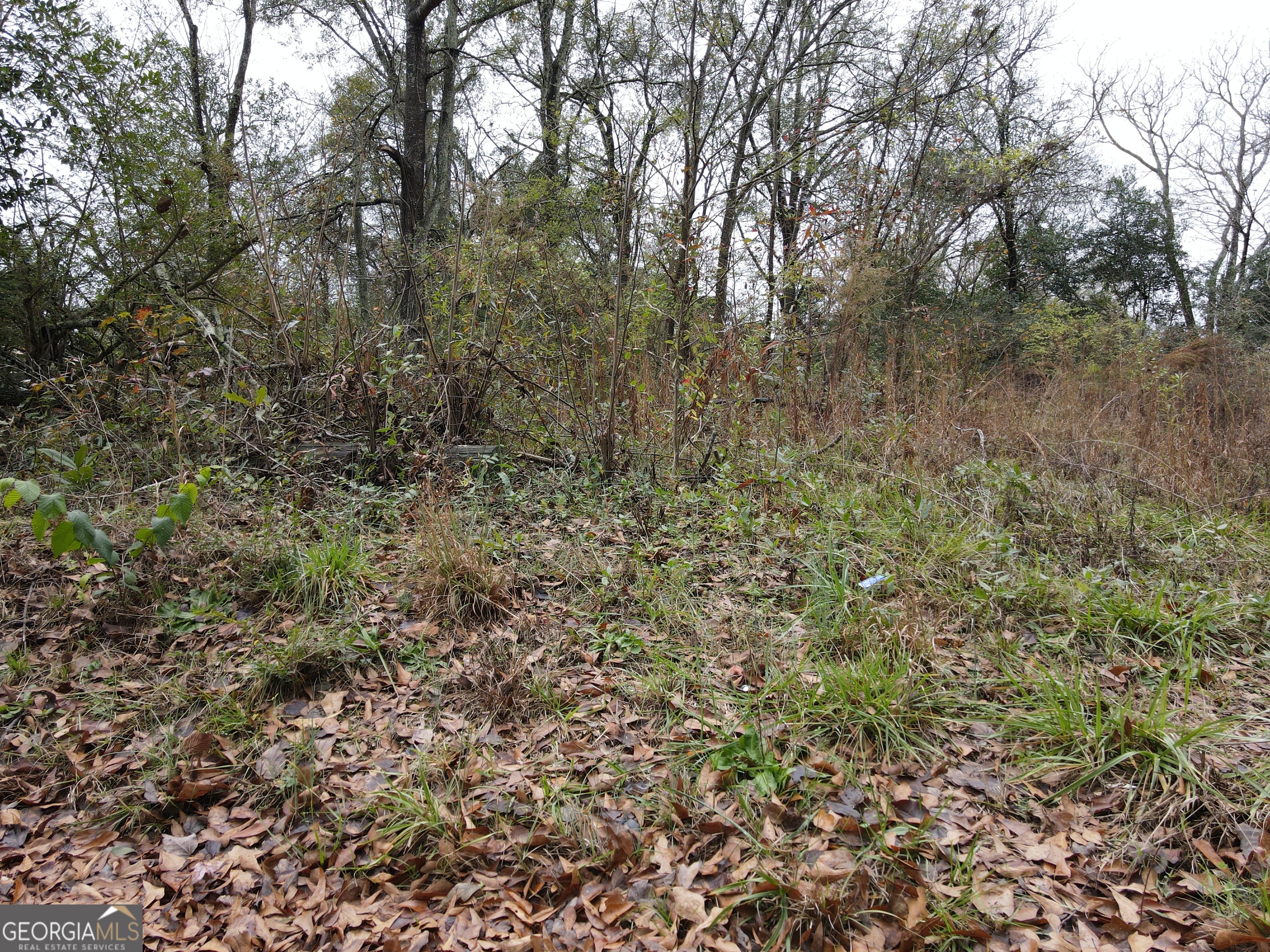 211 Eastbrook Avenue Property Photo 5