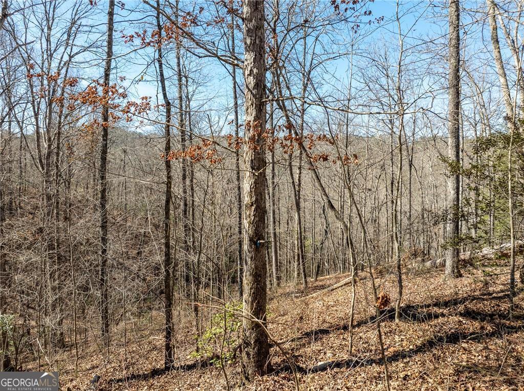 0 River Top Road # 1807 Property Photo 4