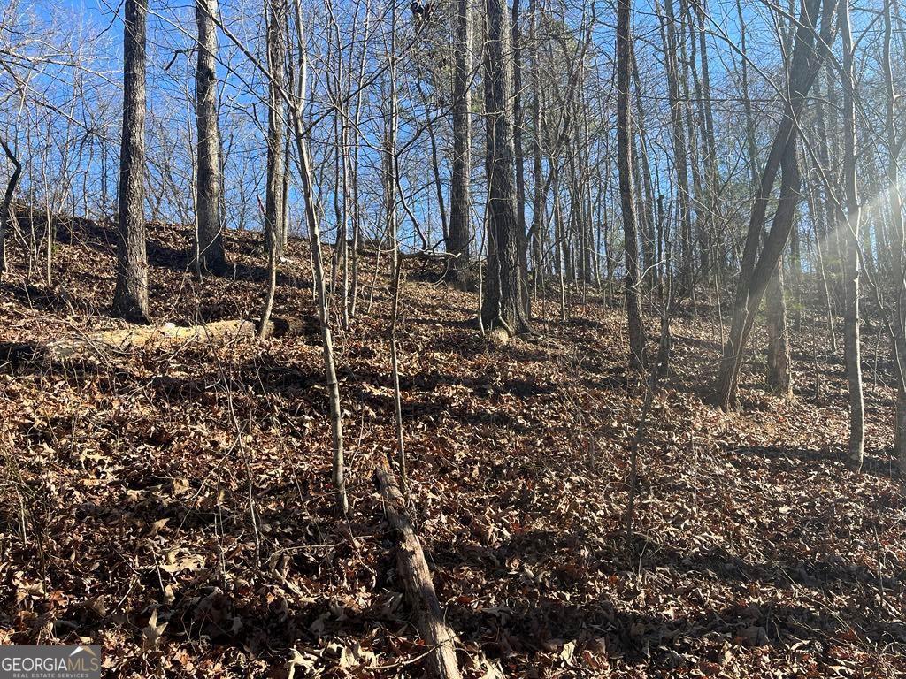 0 River Top Road # 1807 Property Photo 5