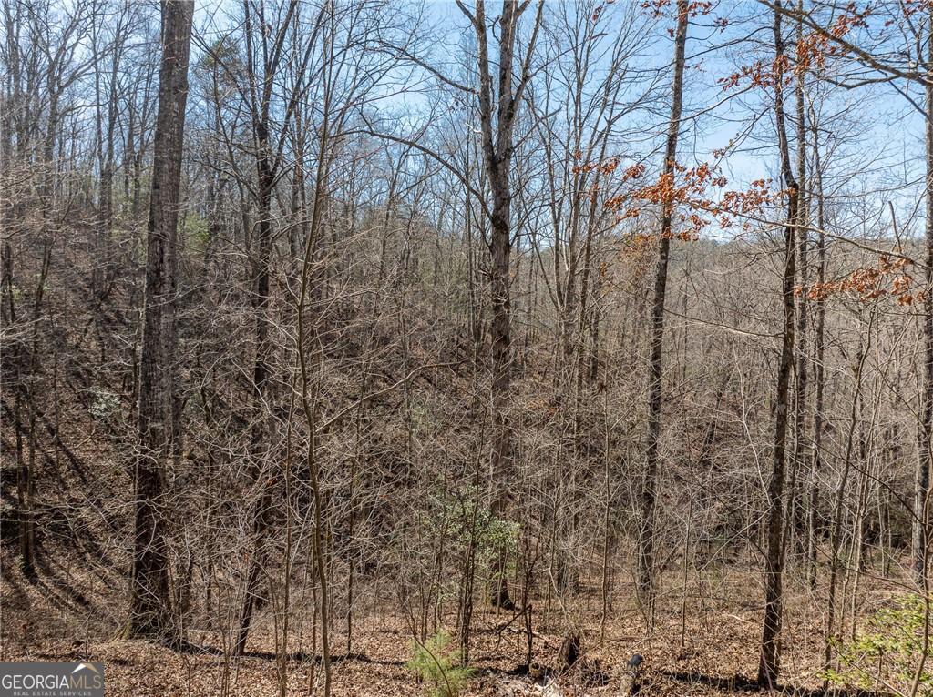 0 River Top Road # 1807 Property Photo 9